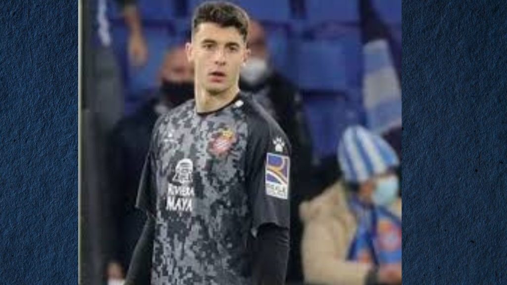 What is Deharojavier61? A Comprehensive Guide