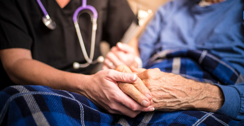 Investigating Financial Irregularities at Zola Hospice Fraud