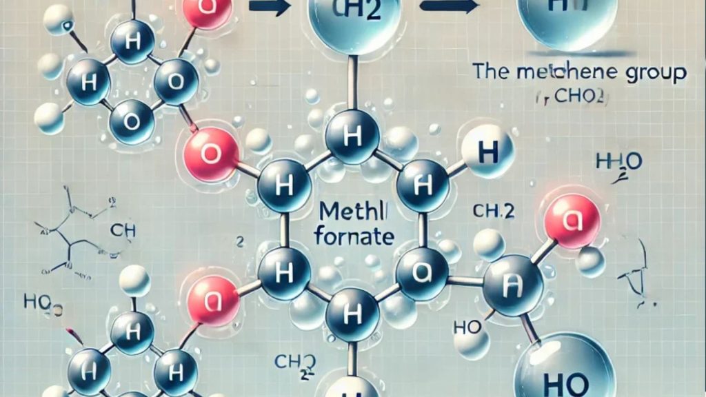 HCOOCH CH2 H2O: Understanding the Hydrolysis of Methyl Formate